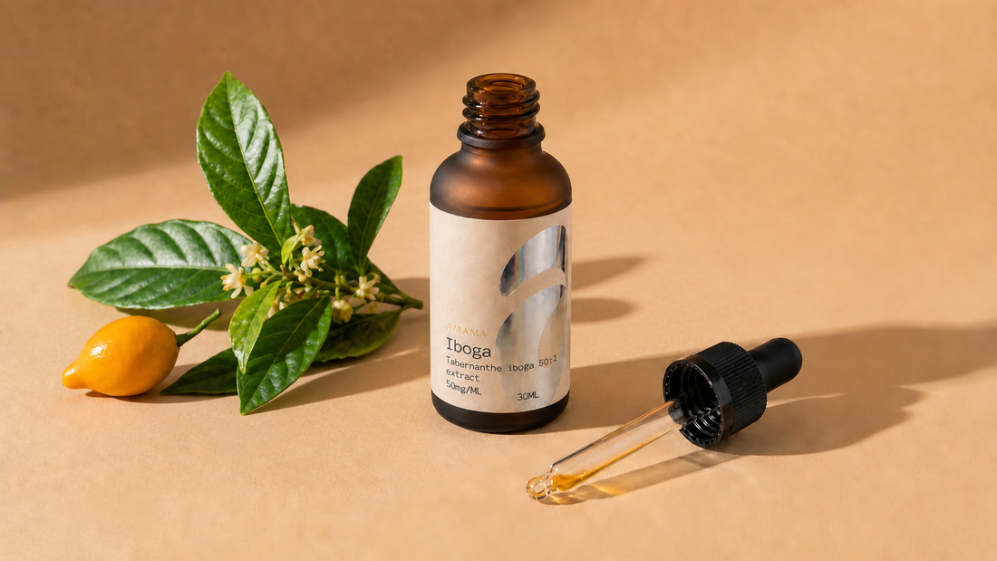 Iboga Effects: Mechanism, Alkaloids and What Users Report