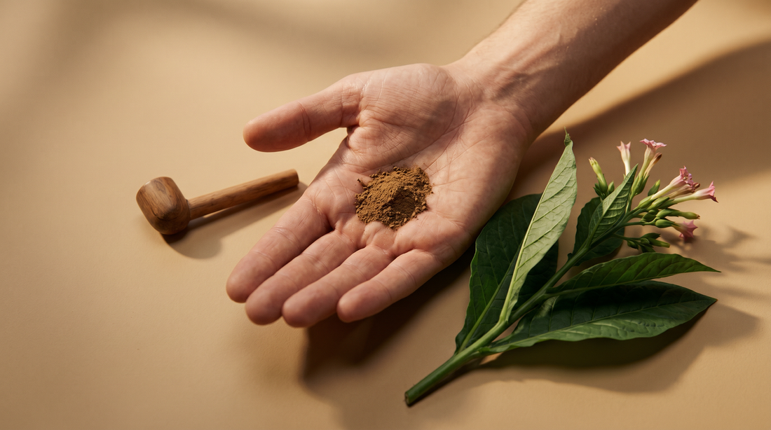 Rapé Experience and Risks: What Beginners Should Know