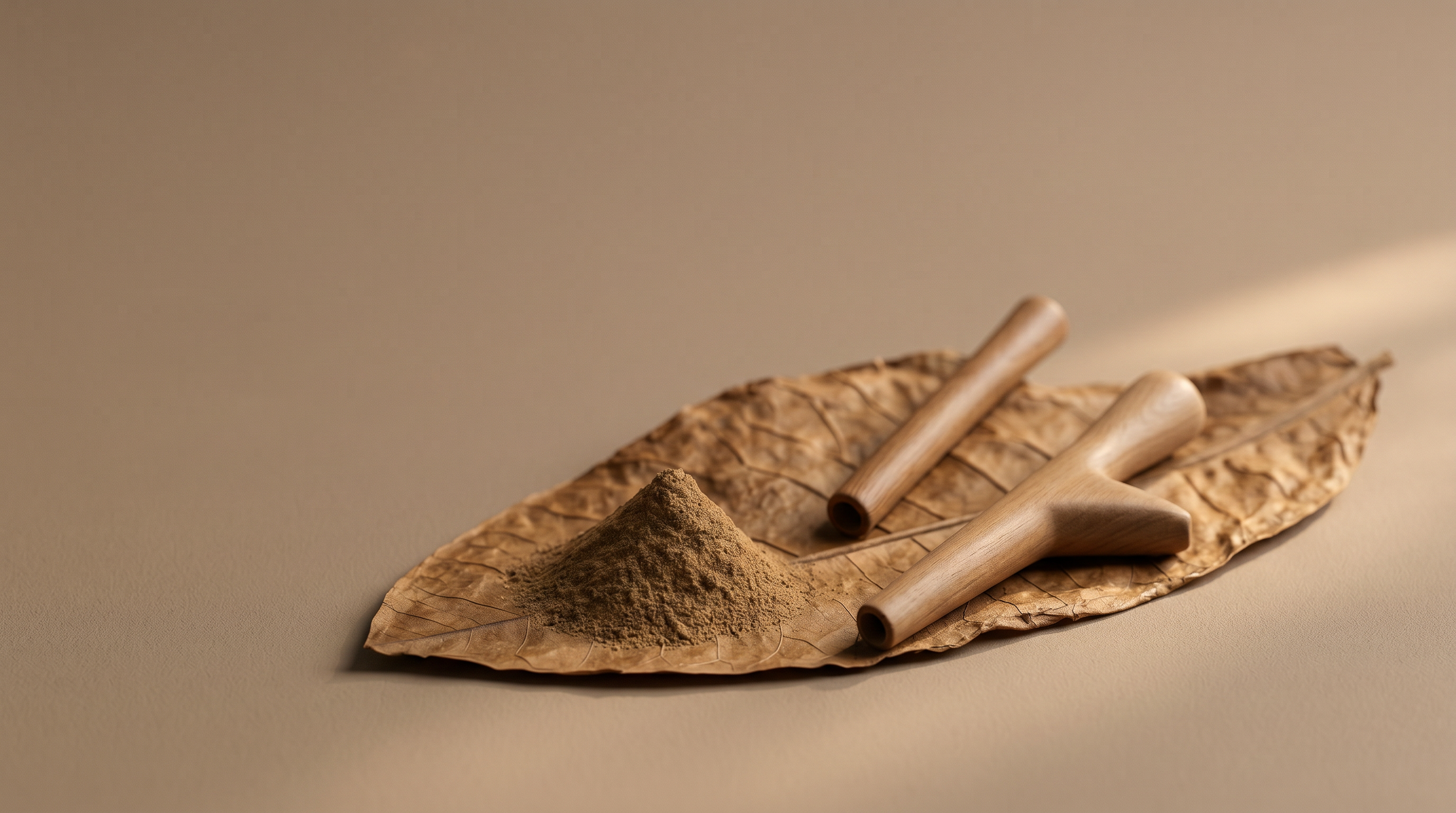 Tepi and Kuripe: Tools for Rapé Application