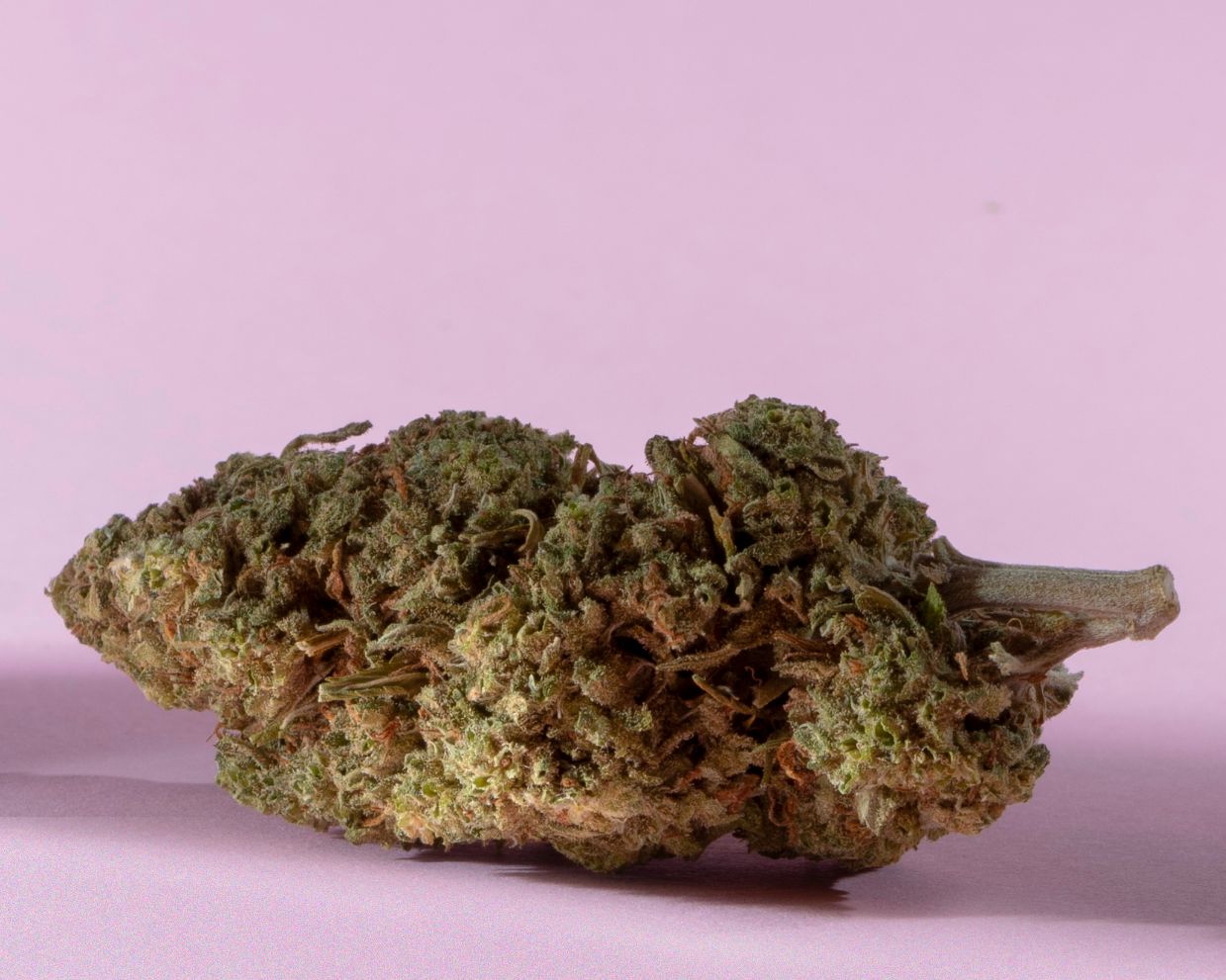 'Repose' CBD Flower