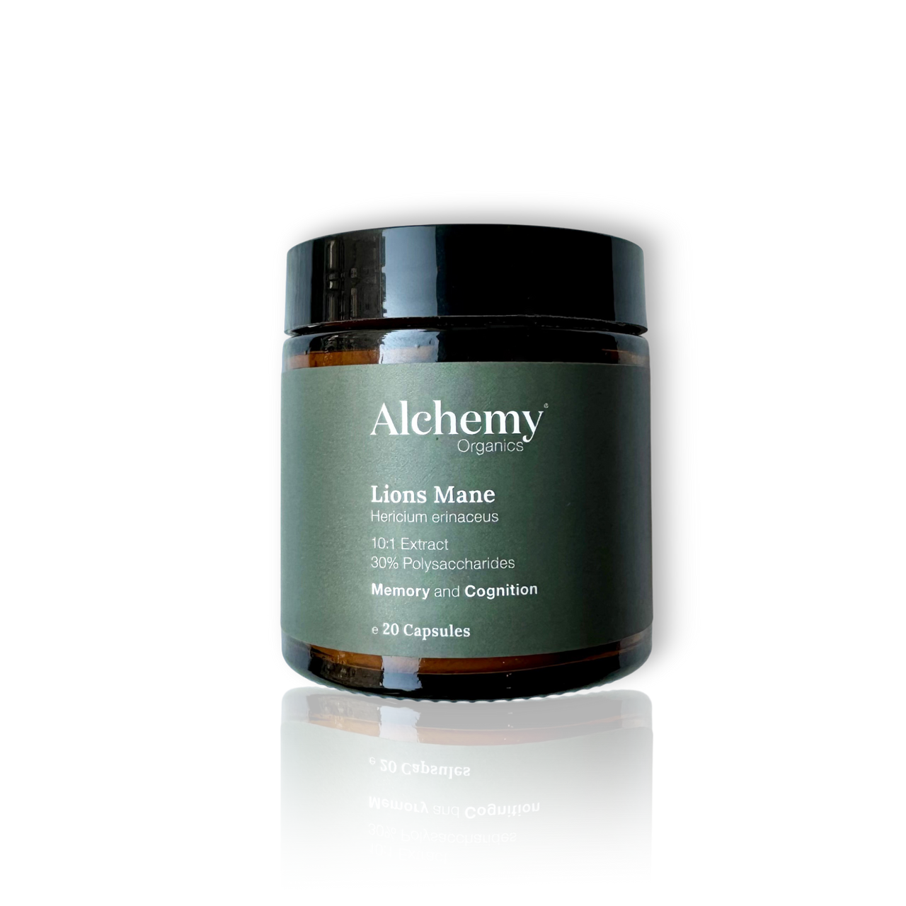 Lions Mane - Organic Powdered Mushroom Extract