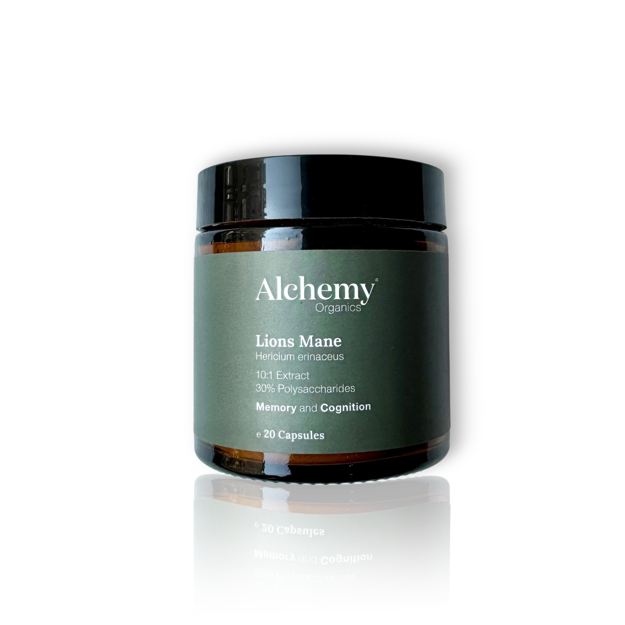 Lions Mane - Organic Powdered Mushroom Extract