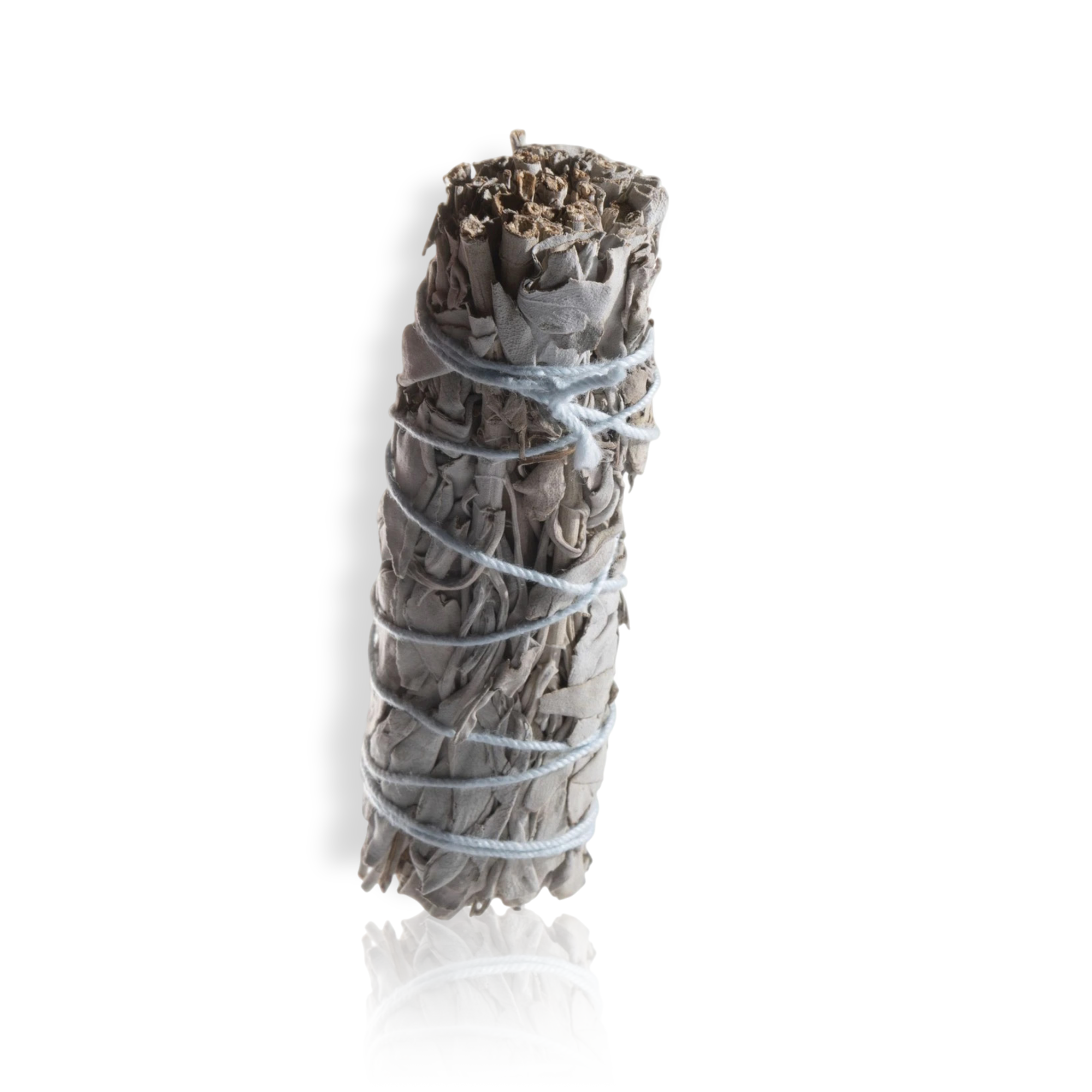 A sage smudge with a tightly bound bundle and a visible root, wrapped in brown paper, tied with string.