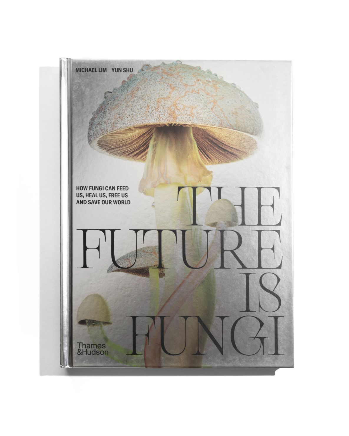 The Future is Fungi