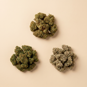 Three CBD flower strains — Calm, Repose and Tranquility — in a top-down flat-lay