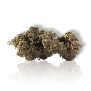 CBD-Blüte „Tranquility“.